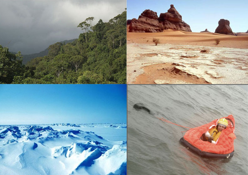 Environmental Survival Collage
